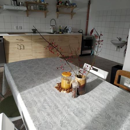 Apartman V Anenskem Udoli Moravská Třebová エクステリア 写真