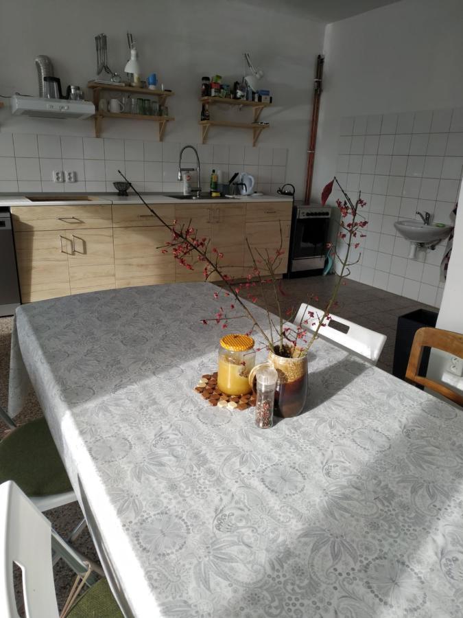 Apartman V Anenskem Udoli Moravská Třebová エクステリア 写真